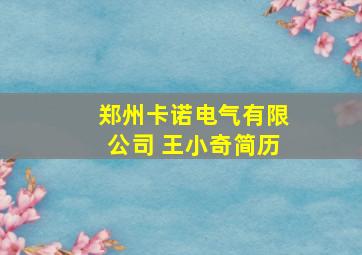 郑州卡诺电气有限公司 王小奇简历